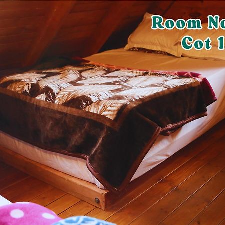 Willa Joy Eco Woodhouse - 5 Bhk House (Adults Only) Utakamand Zewnętrze zdjęcie