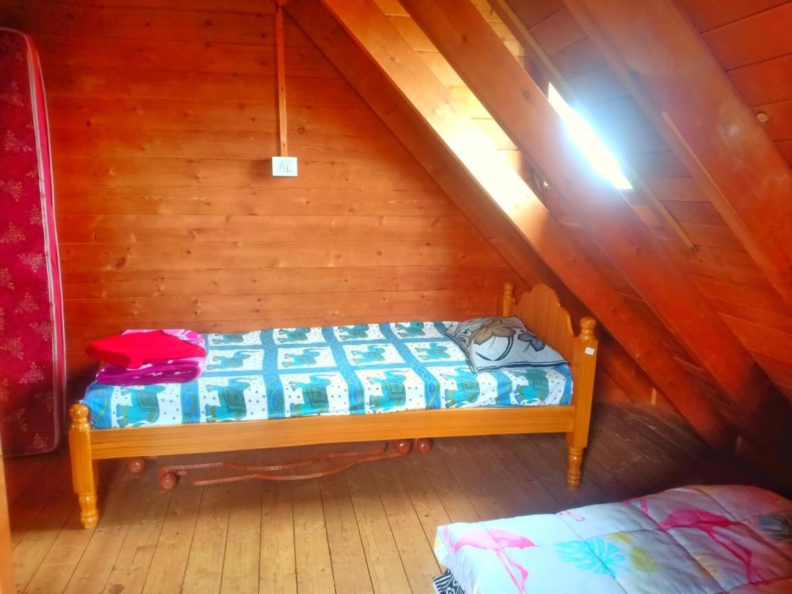 Willa Joy Eco Woodhouse - 5 Bhk House (Adults Only) Utakamand Zewnętrze zdjęcie