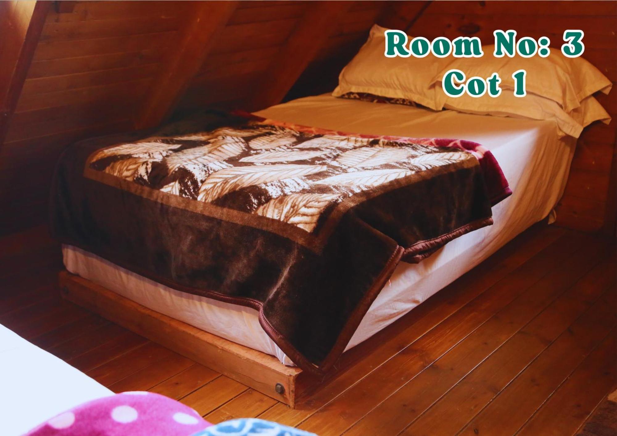 Willa Joy Eco Woodhouse - 5 Bhk House (Adults Only) Utakamand Zewnętrze zdjęcie